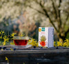 Everything You Need To Know About Rooibos Tea